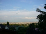 Wienblick I