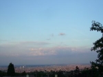 Wienblick VII