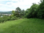 Garten 2